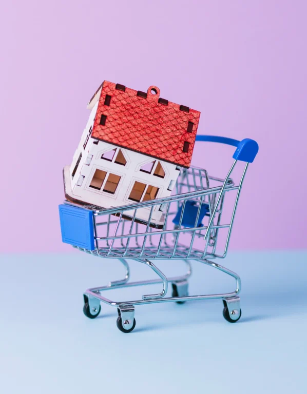 Real Estate Marketplaces